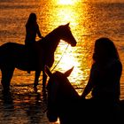 Ausritt am Strand