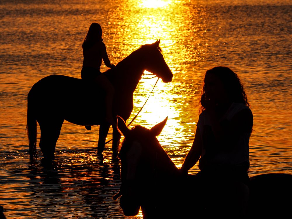 Ausritt am Strand