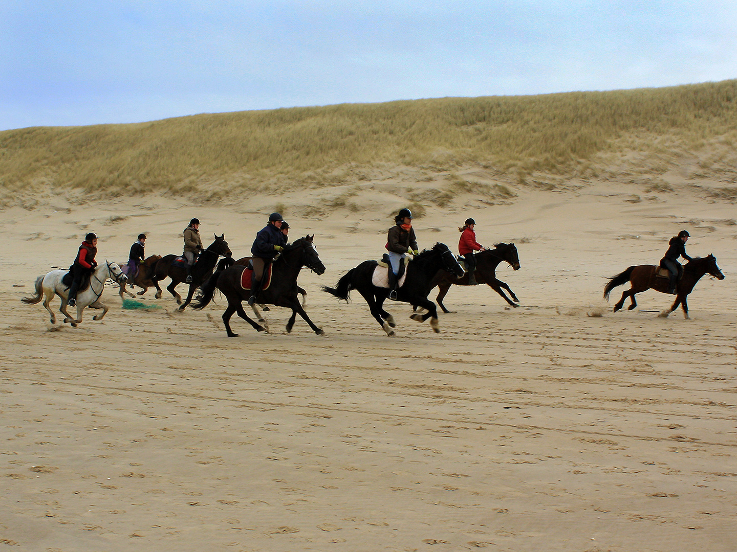 Ausritt am Strand