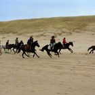 Ausritt am Strand