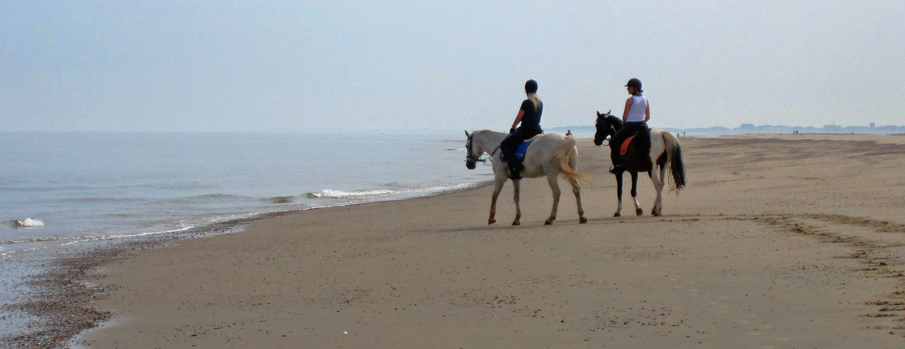 Ausritt am Strand