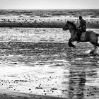 Ausritt am Strand