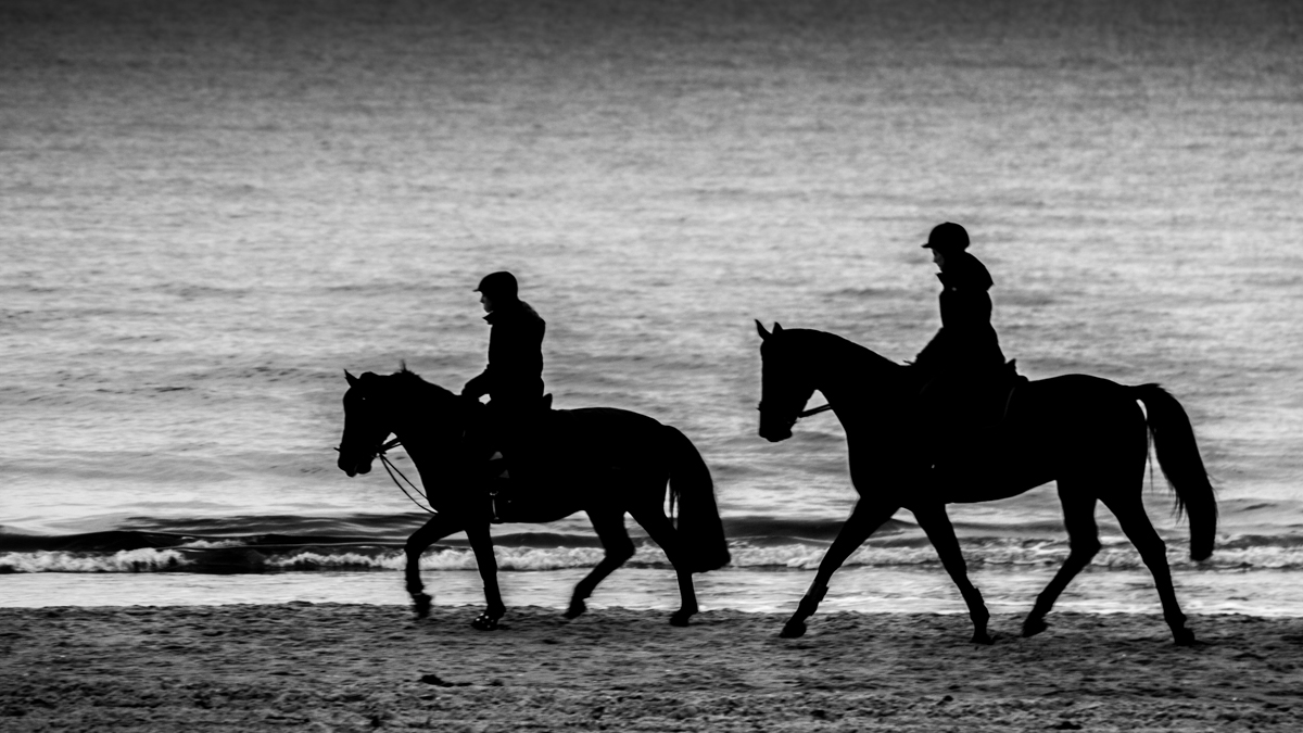 Ausritt am Strand