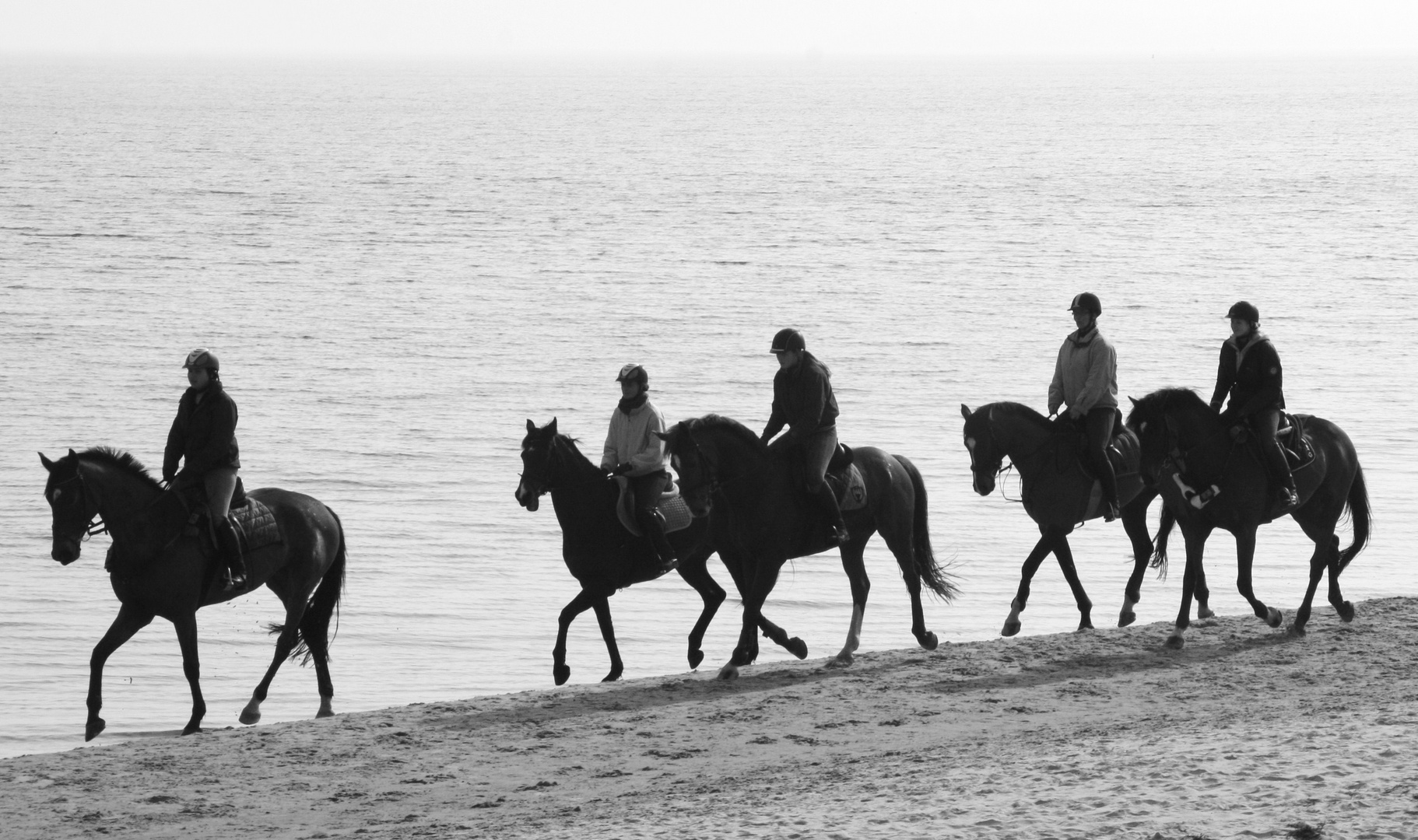 ausritt am strand von scharbeutz