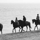 ausritt am strand von scharbeutz