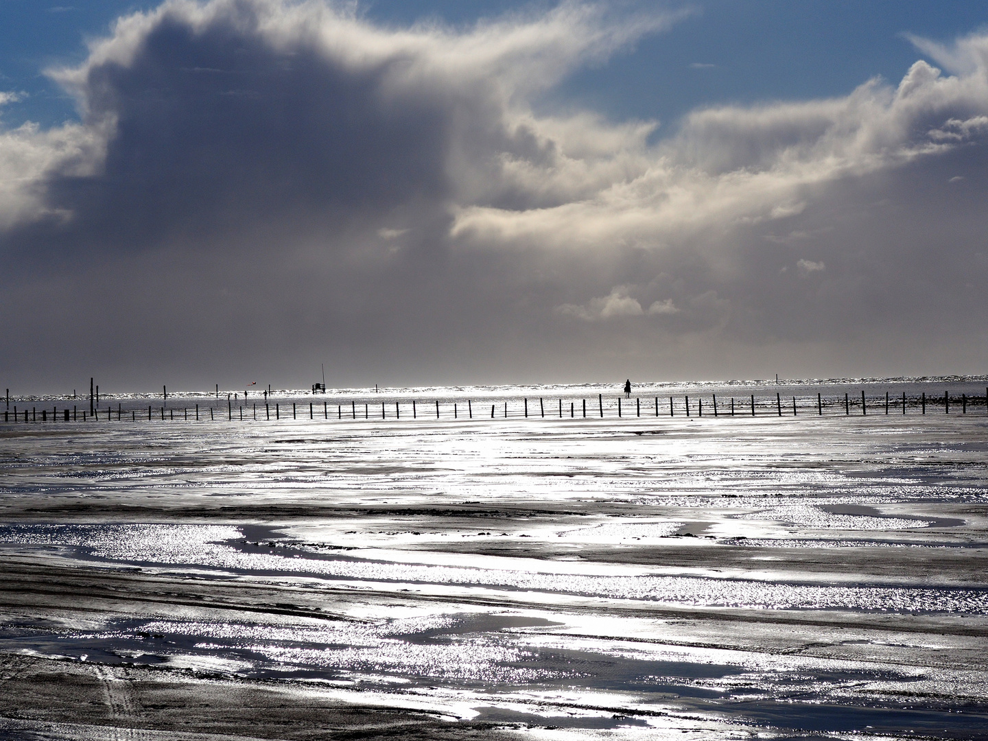 Ausritt am Strand von SPO