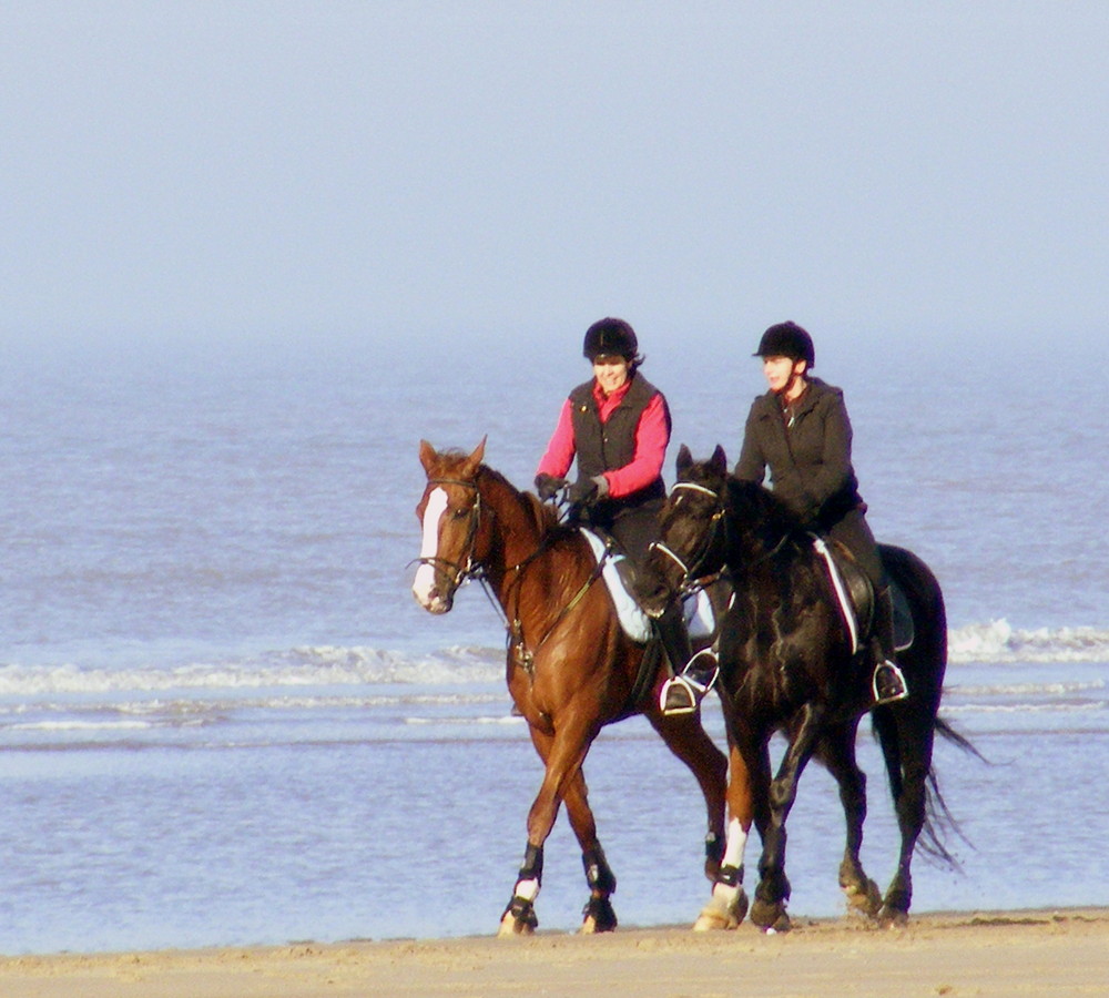 Ausritt am Strand von Vosseslag/Belgien