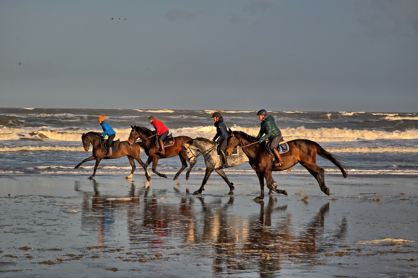 Ausritt an der Nordsee