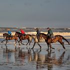 Ausritt an der Nordsee