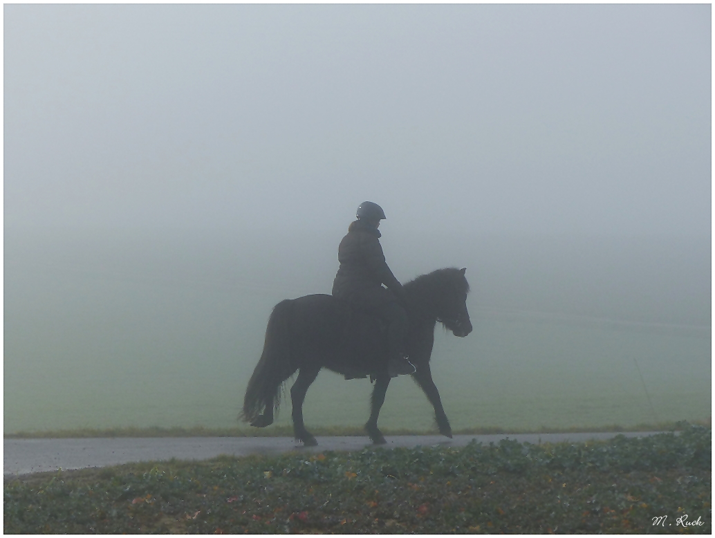 Ausritt an einem Wintermorgen ,