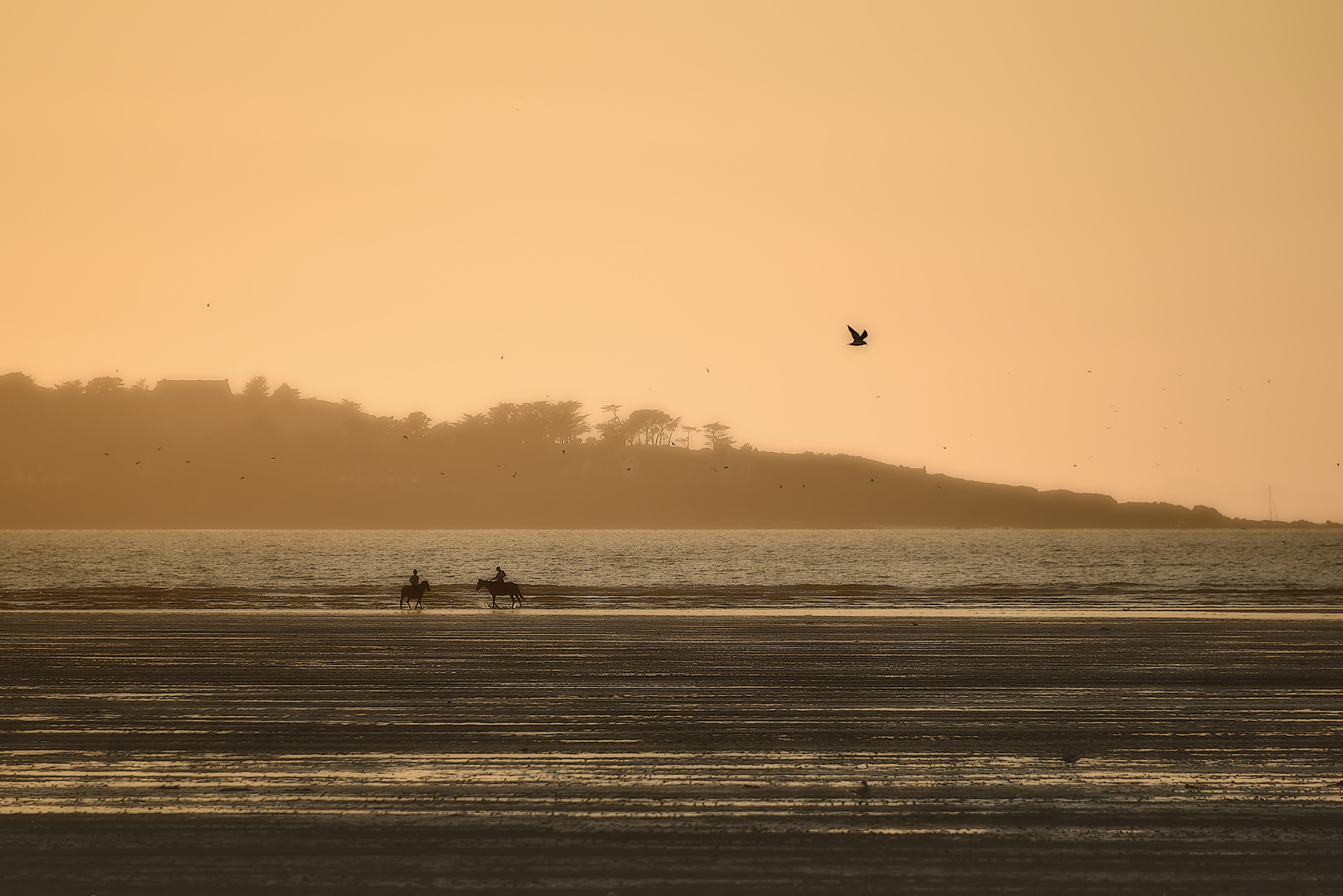 Ausritt bei Sonnenuntergang am Strand