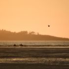 Ausritt bei Sonnenuntergang am Strand