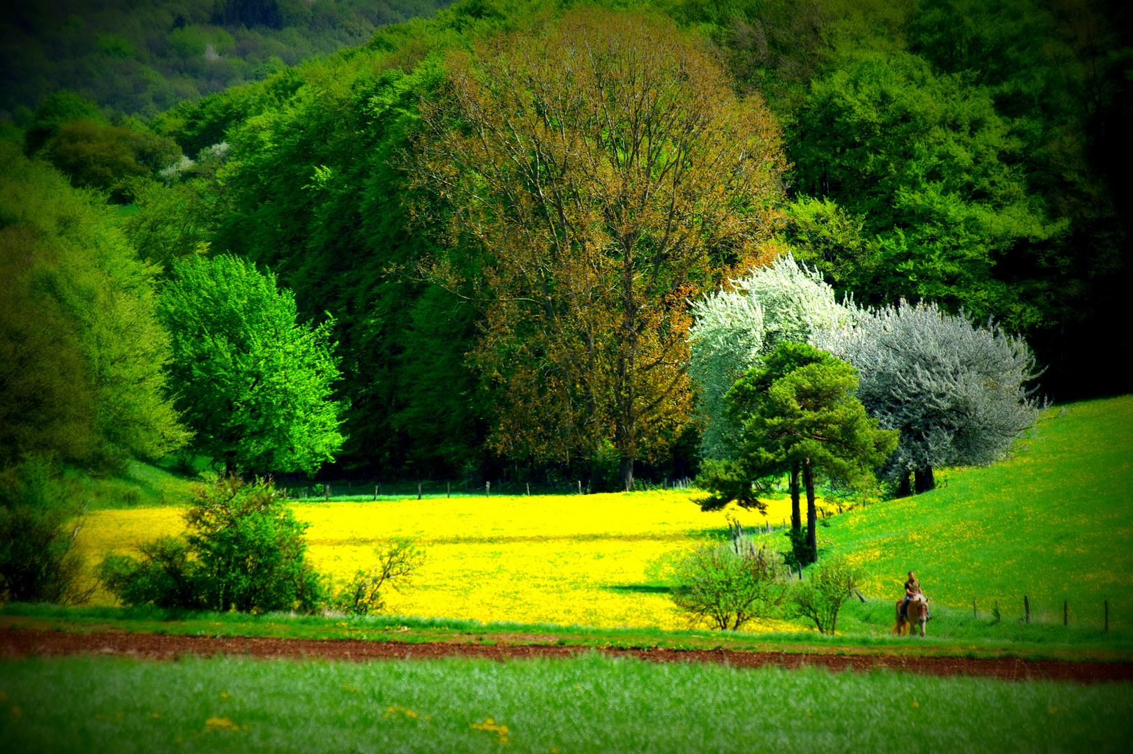 Ausritt durch bunten Frühling