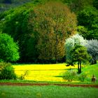 Ausritt durch bunten Frühling