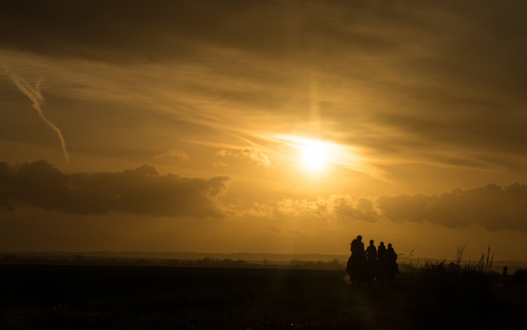 Ausritt im Abendlicht 