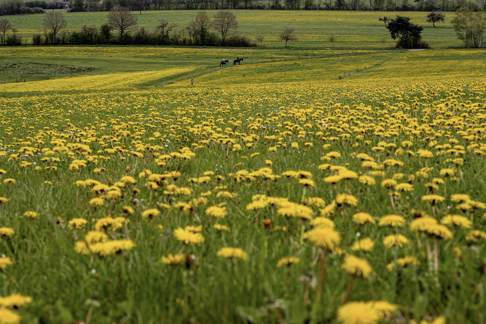 Ausritt im Frühling 2