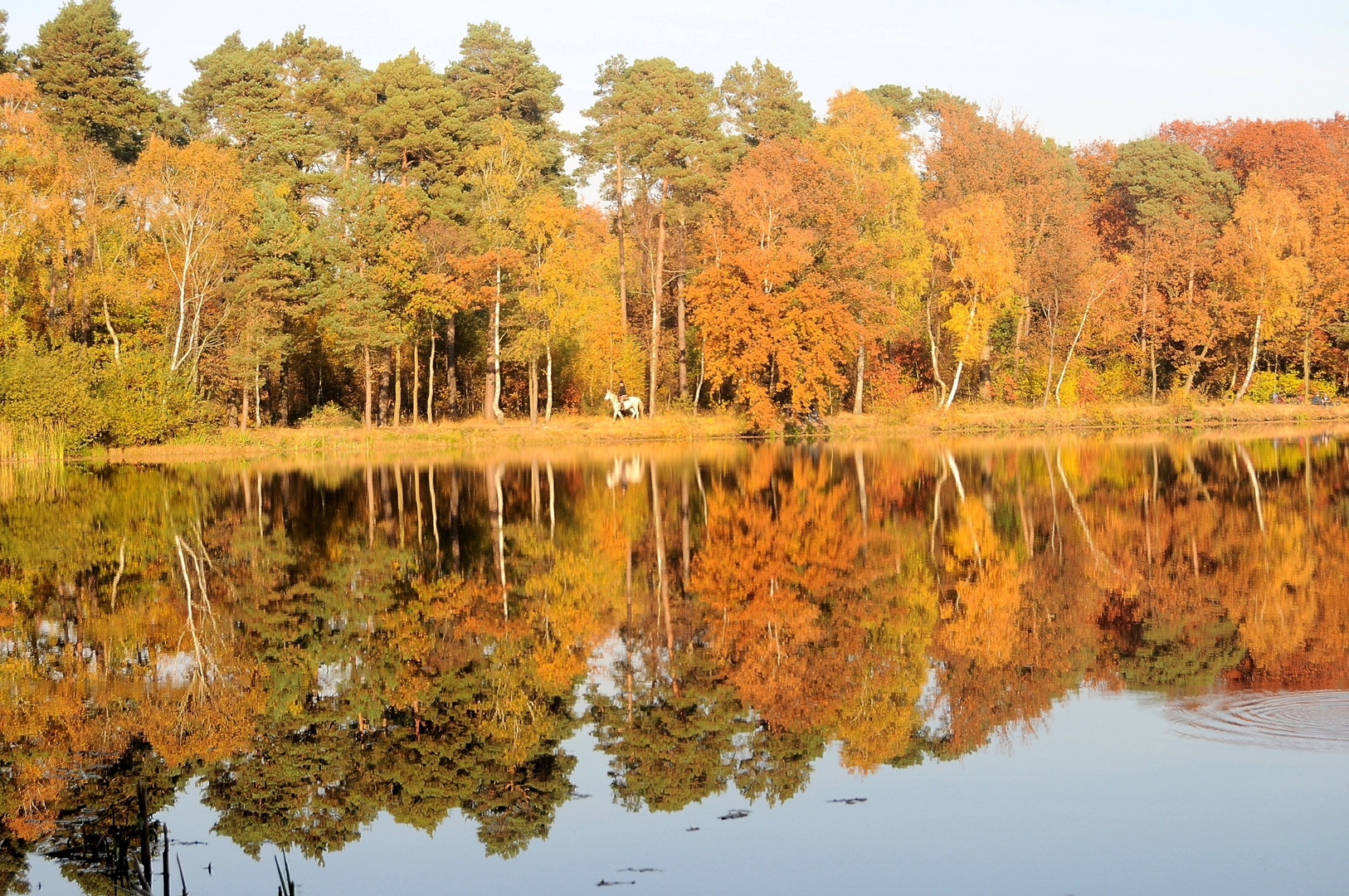 Ausritt im Herbst