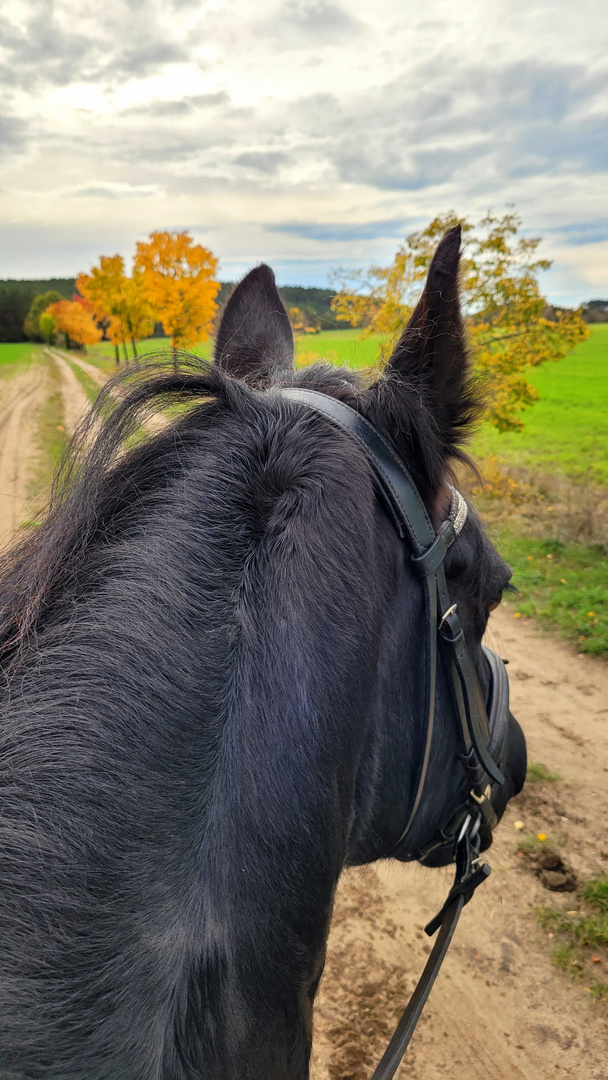 Ausritt im Herbst