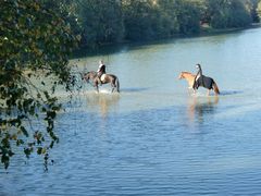 Ausritt im Herbst