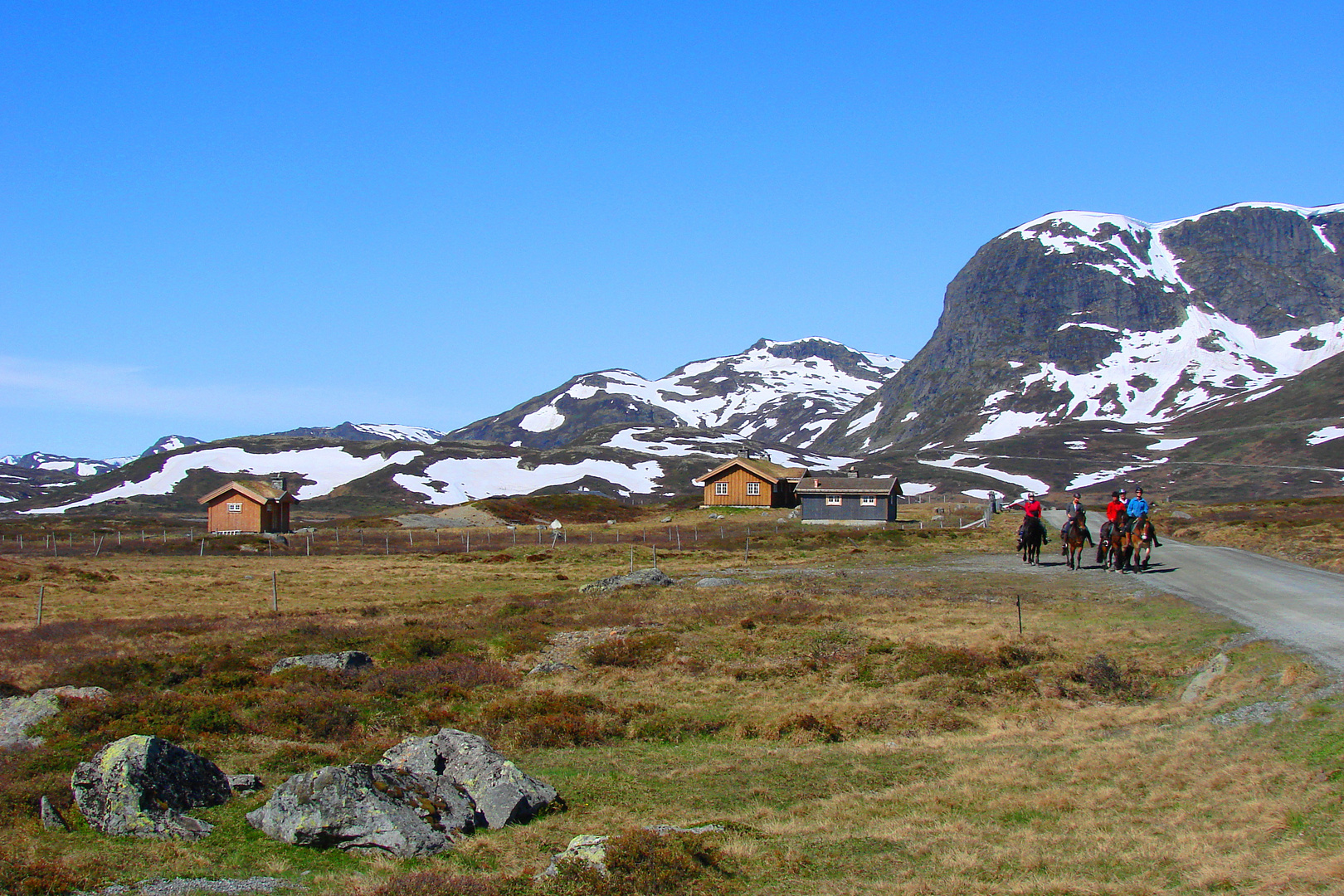 Ausritt im Jotunheimen NP