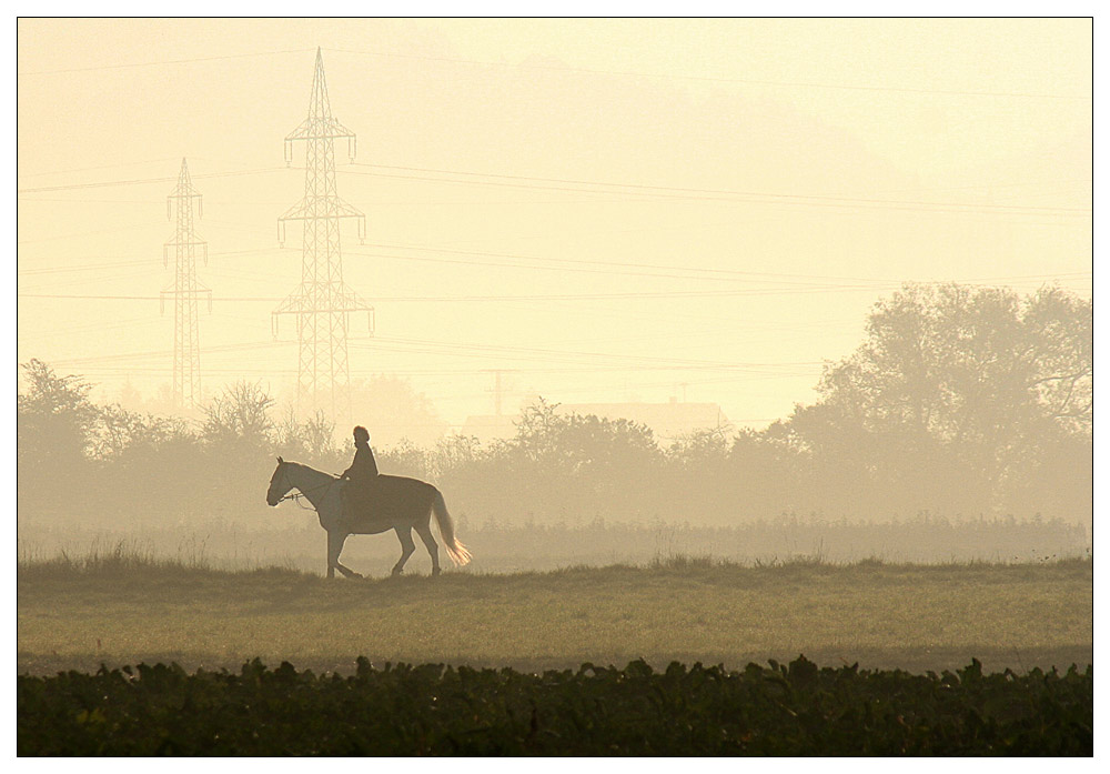 Ausritt im Nebel