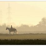 Ausritt im Nebel