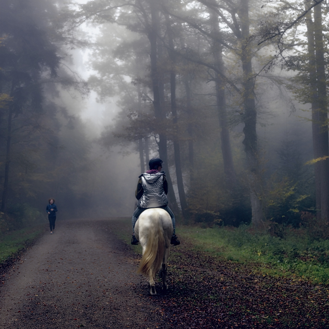 Ausritt im Nebel