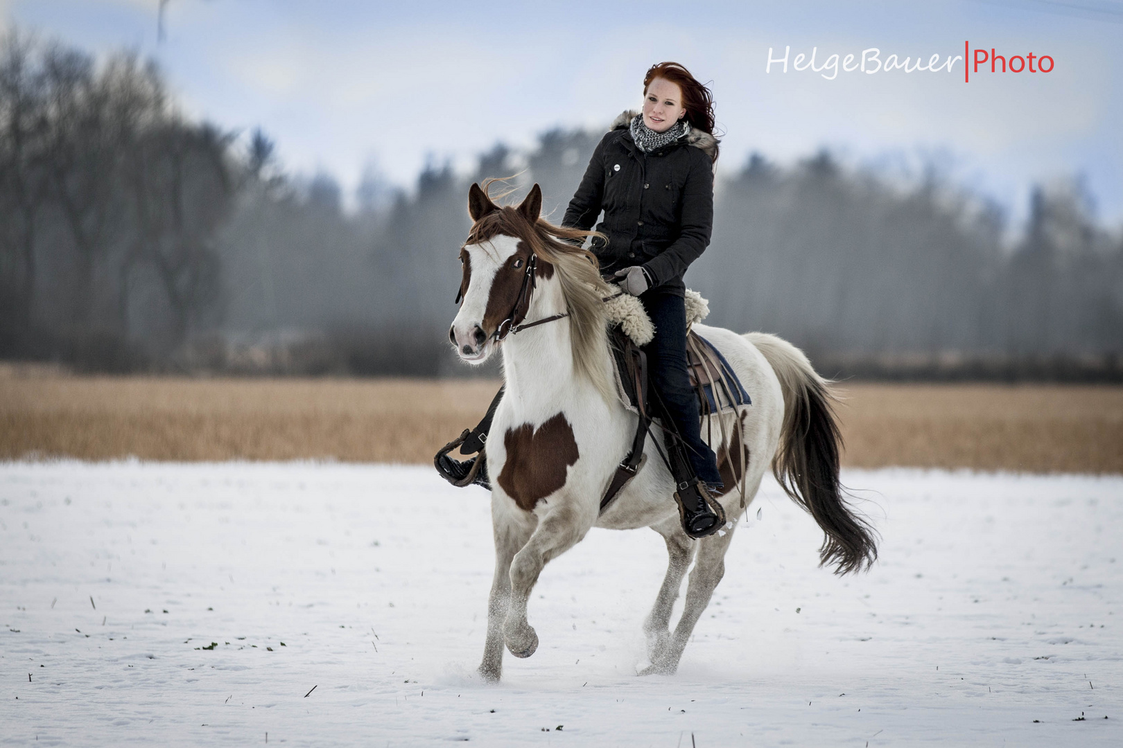 Ausritt im Schnee