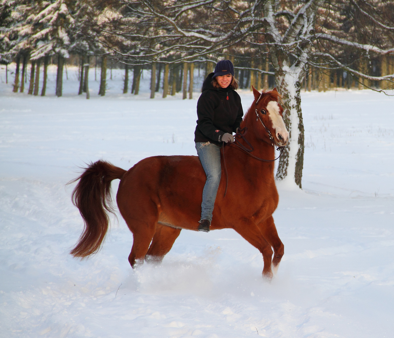 Ausritt im Schnee