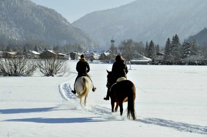 Ausritt im Schnee