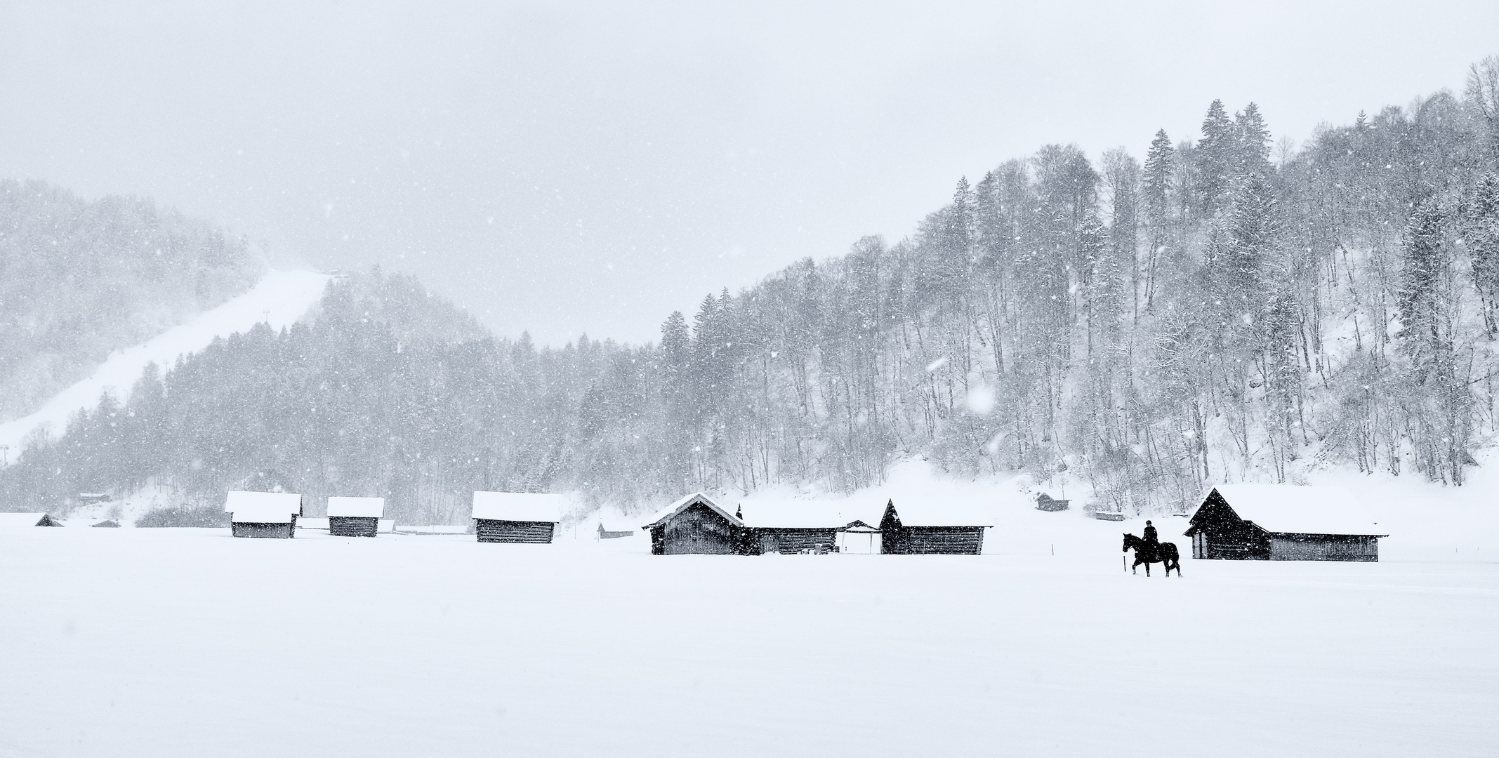 Ausritt im Schneetreiben