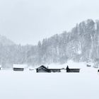 Ausritt im Schneetreiben