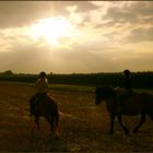 Ausritt im Sonnenuntergang