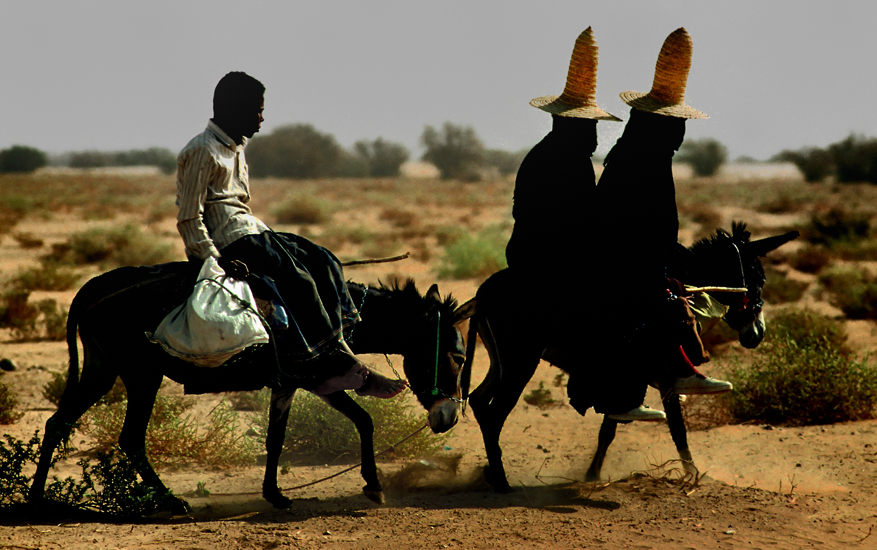 Ausritt im Wadi al Äin