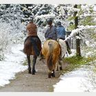 Ausritt  im Winterwald