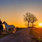 Ausritt in den Sonnenuntergang