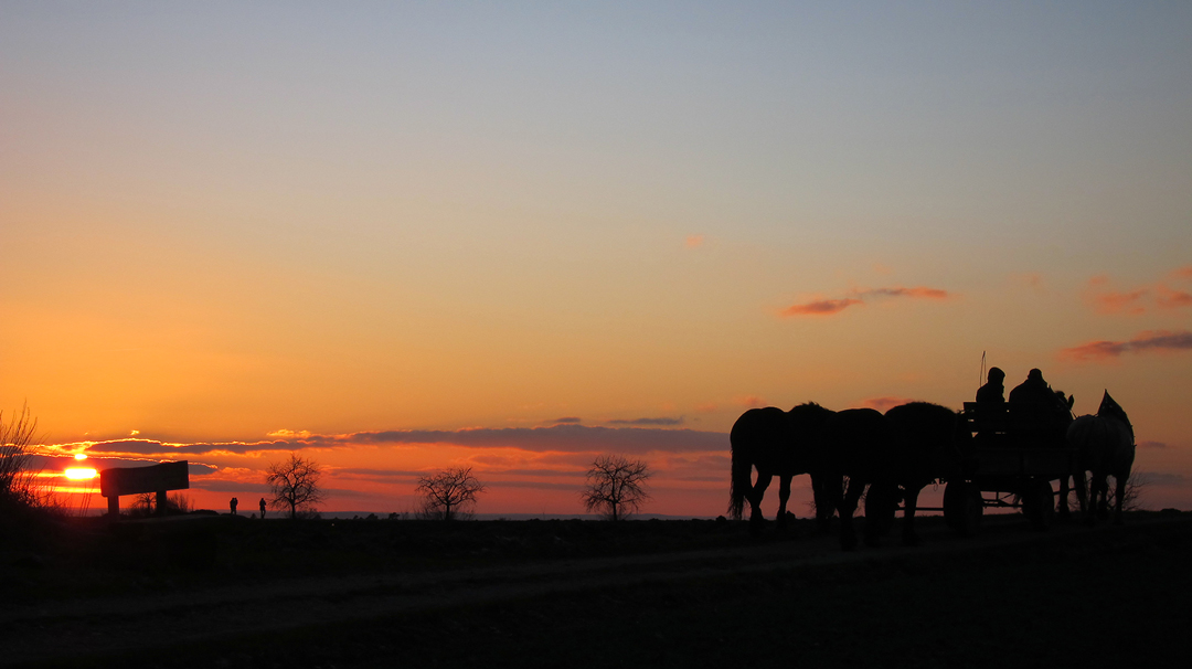 Ausritt in den Sonnenuntergang