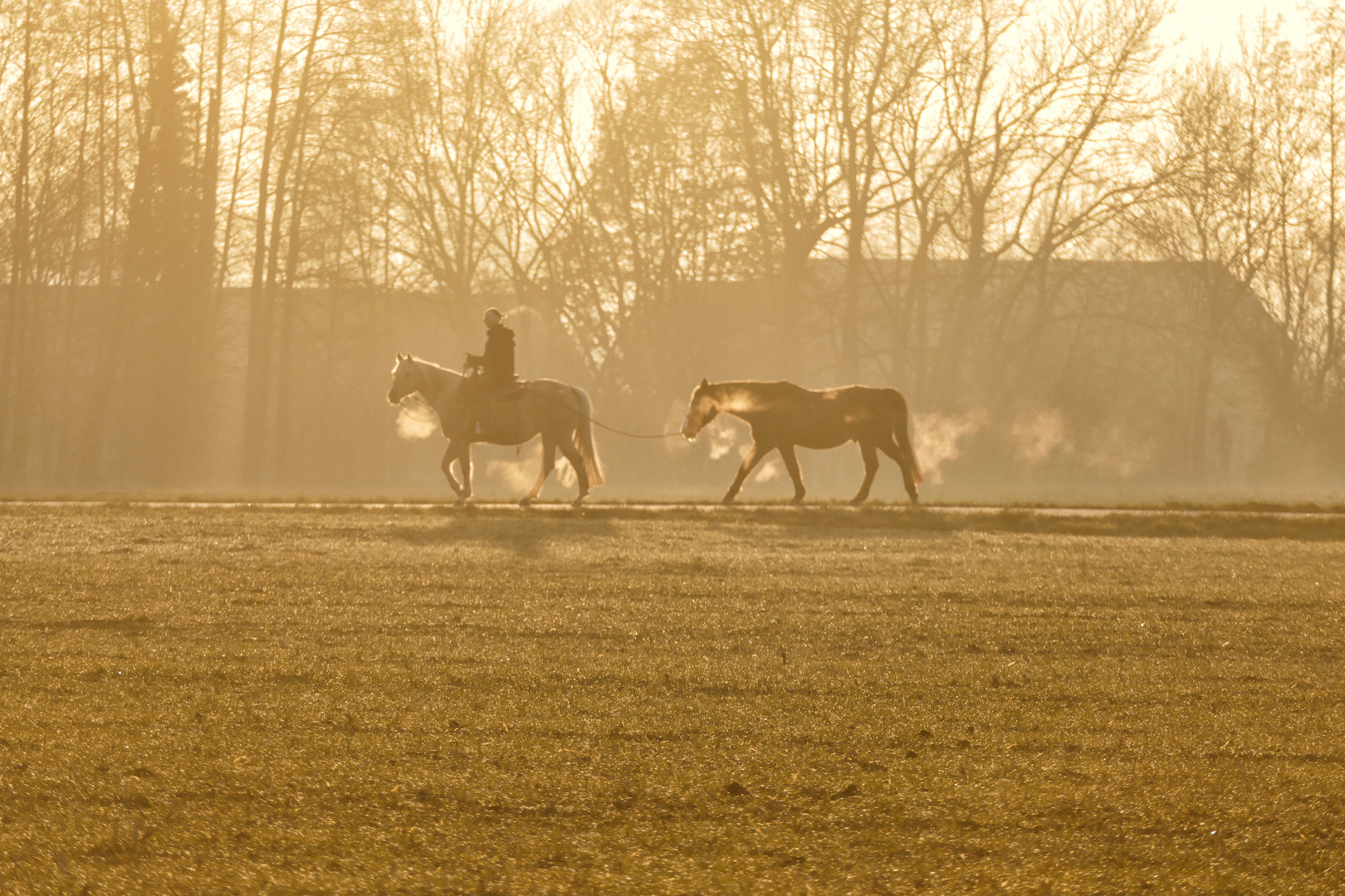 Ausritt in der Abendsonne