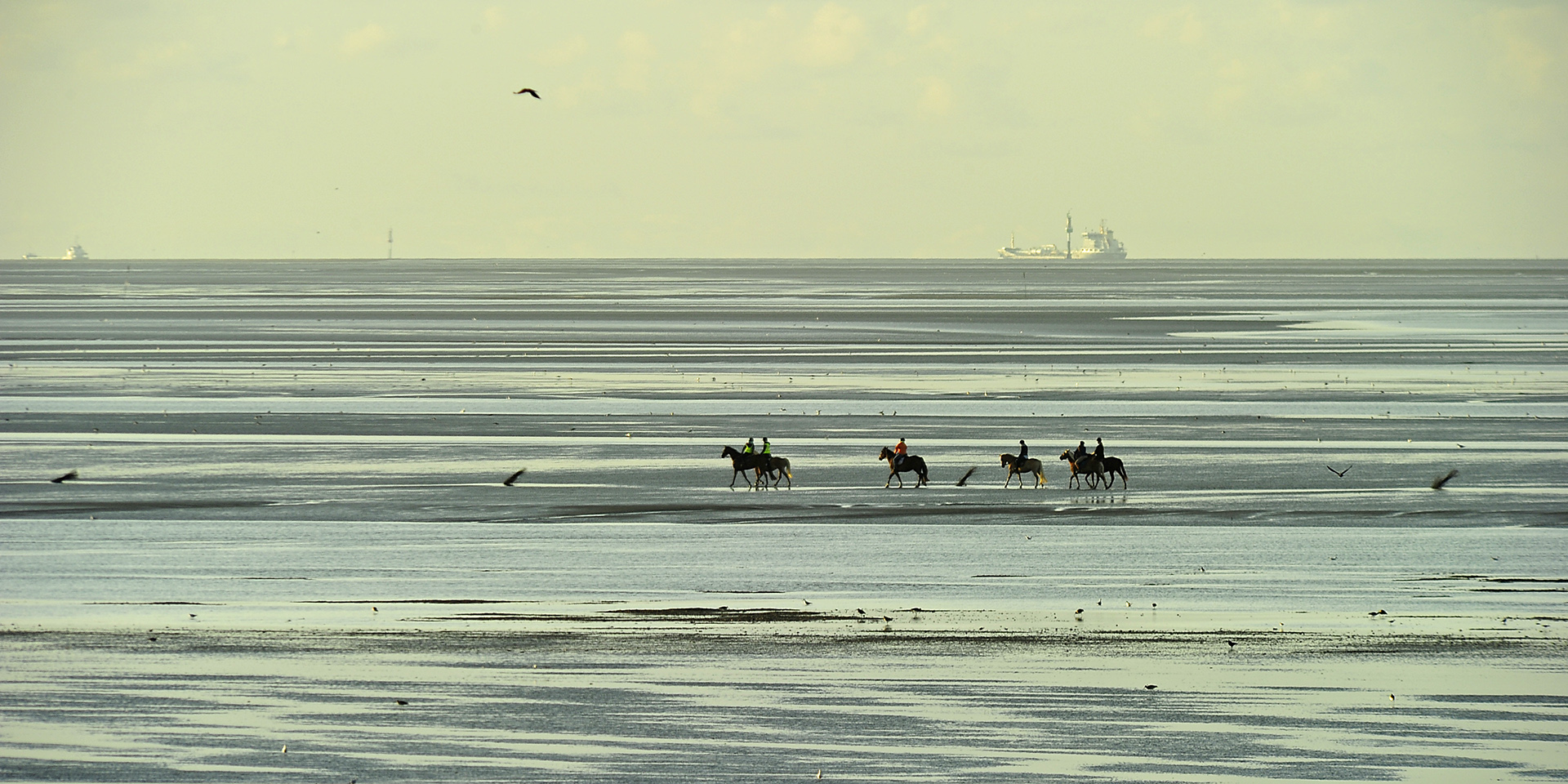 Ausritt in der Abendsonne auf dem Watt vor Cuxhaven-Duhnen