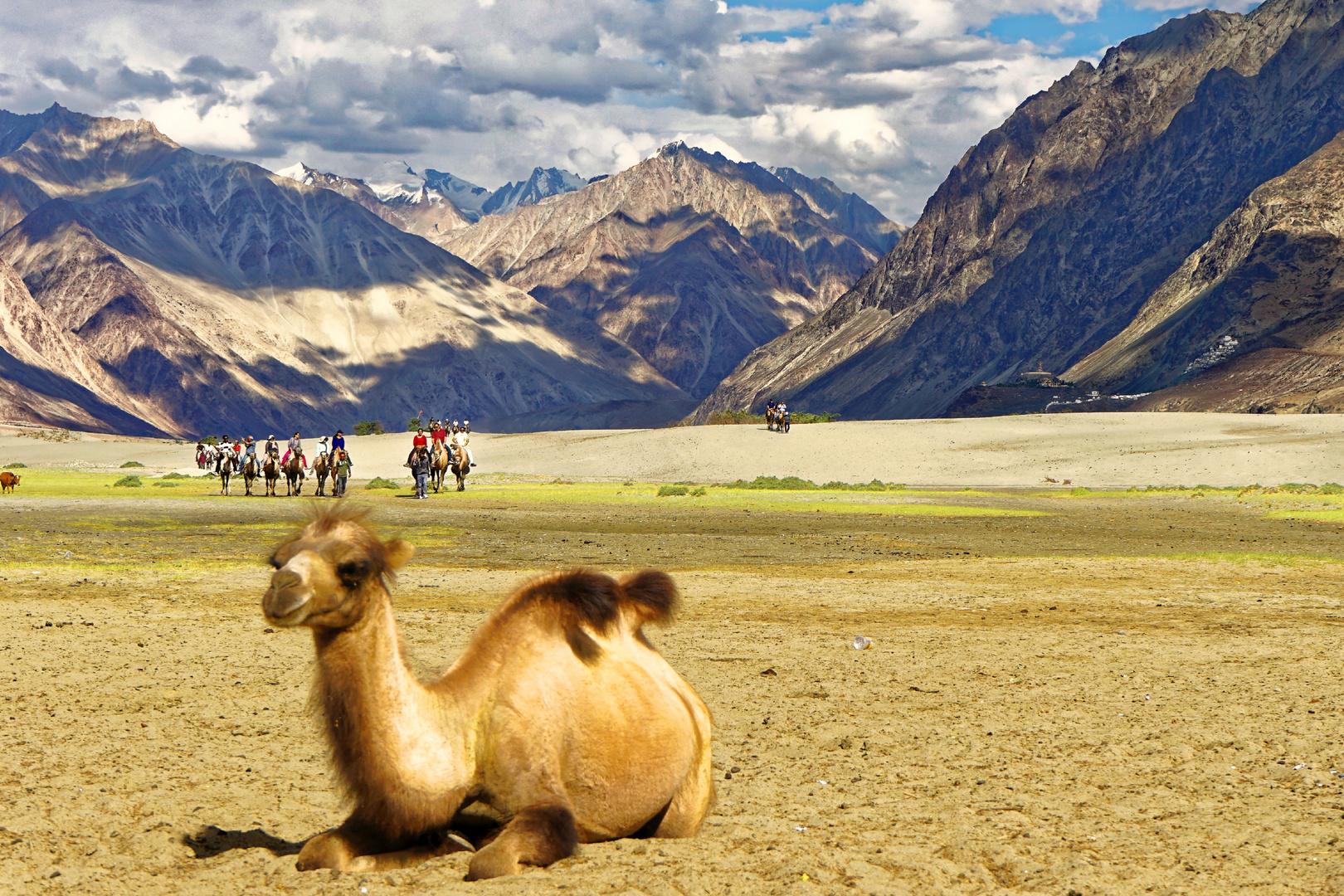 Ausritt in die Wüste Ladakh Nubratal