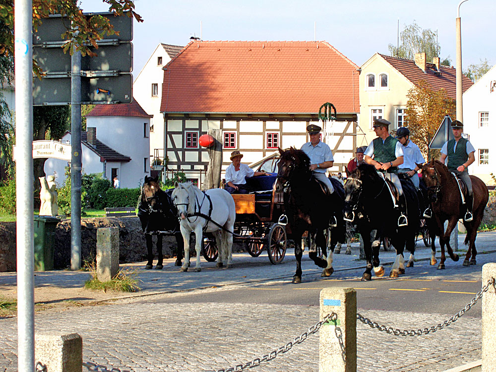 Ausritt mit den Hengsten des Gestüts Moritzburg