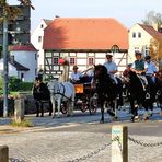 Ausritt mit den Hengsten des Gestüts Moritzburg