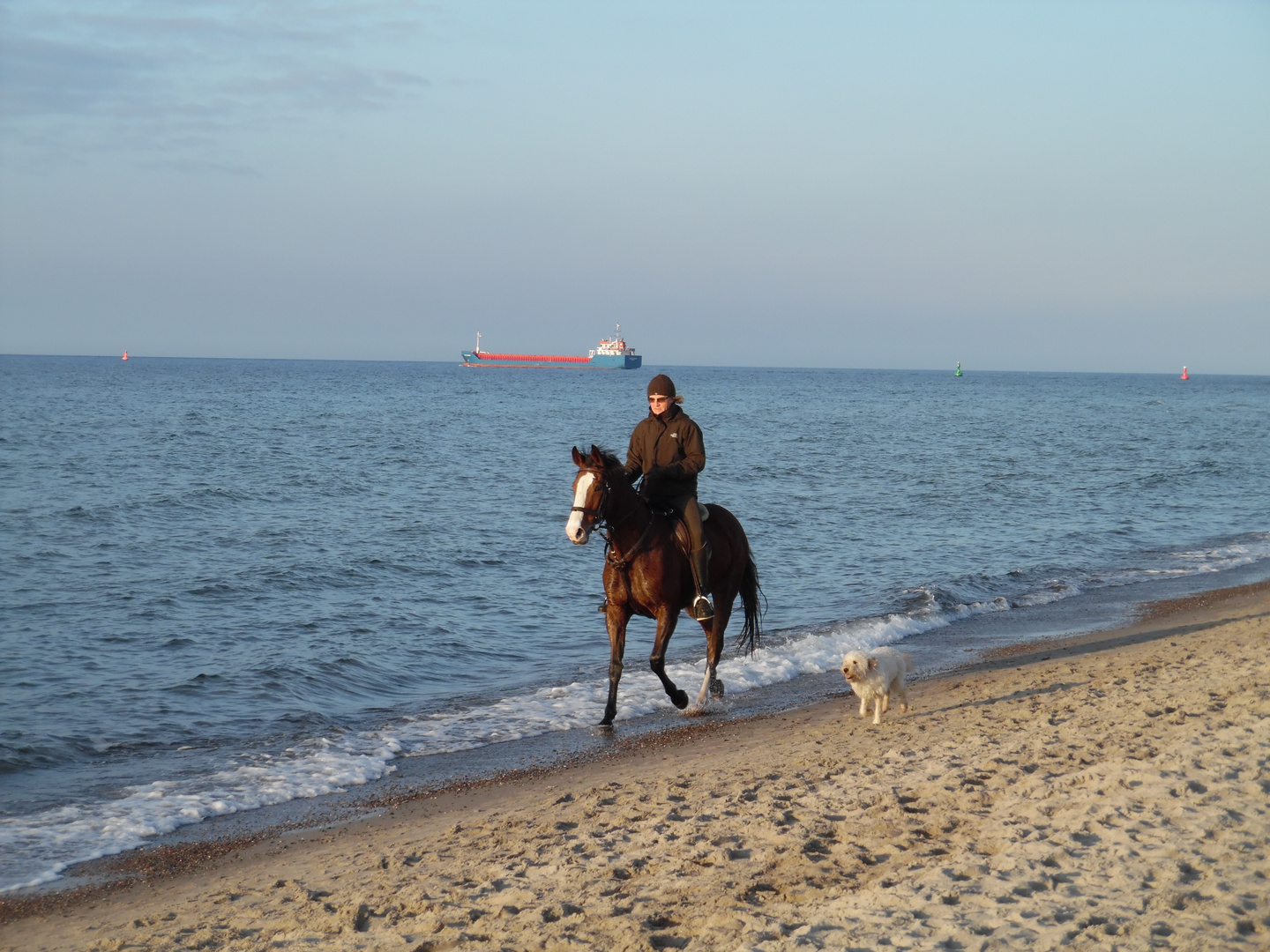 Ausritt mit Hund am Strand der Ostsee