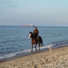 Ausritt mit Hund am Strand der Ostsee