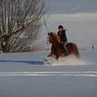 Ausritt mit Schneegestöber