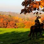 Ausritt über die Höhen des Bergischen Landes bei Velbert-Langenberg