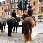 Ausritt zum Samstag, Dresden-Körnerplatz