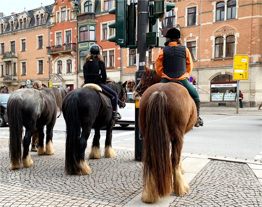 Ausritt zum Samstag, Dresden-Körnerplatz