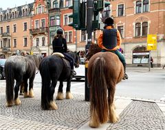 Ausritt zum Samstag, Dresden-Körnerplatz