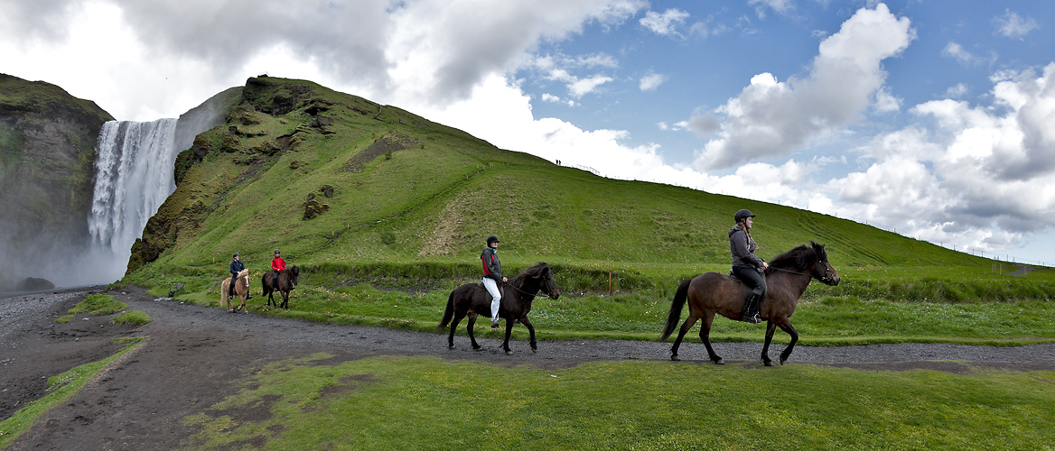 Ausritt zum Skógafoss - Island #3023